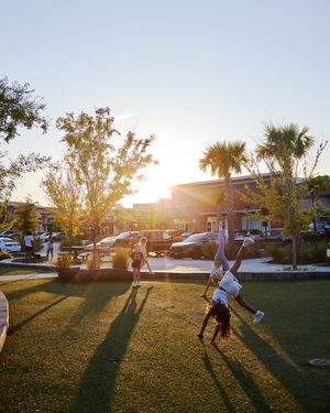 Image post by @theamesnexton on Instagram