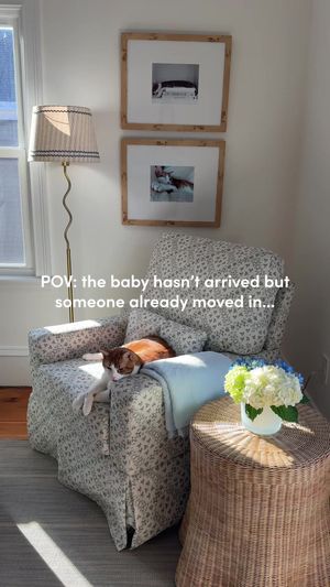 Video post by @wayfair on TikTok