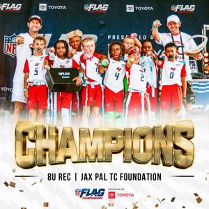 Image post by @nflflag on Instagram