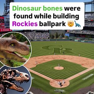 Image post by @mlb on Instagram