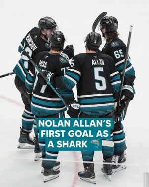 Image post by @sanjosesharks on Instagram