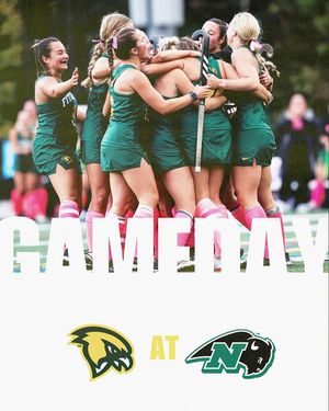 Image post by @fsufalconsfh on Instagram