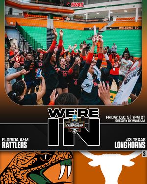 Image post by @theswac on Instagram