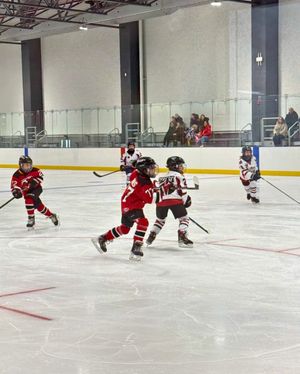 Image post by @ebicearena on Instagram