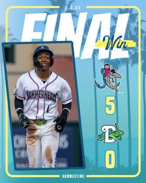 Image post by @gohammerheads on Instagram