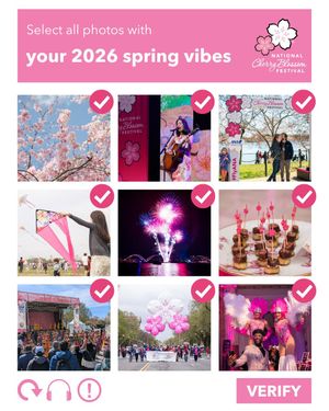 Image post by @cherryblossfest on Instagram