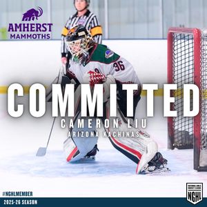 Image post by @nghlhockey on Instagram