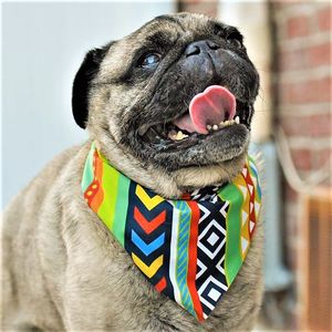 Image post by @drhempdog on Instagram