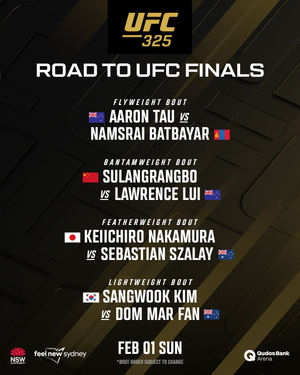 Image post by @ufc_korea on Instagram