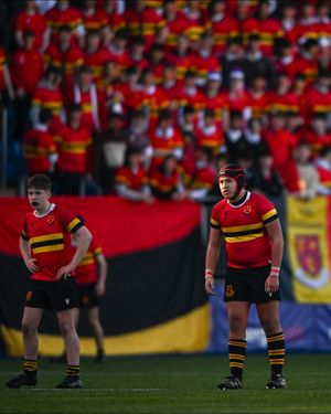 Image post by @leinsterrugby on Instagram