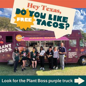 Image post by @eatplantboss on Instagram