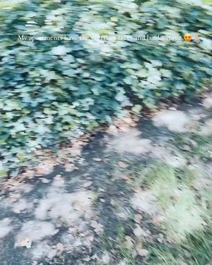 Image post by @_sarahdesimone_ on Instagram