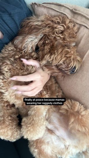 Video post by @tedflixnchill on TikTok