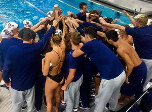 Image post by @arizonaswimdive on Instagram