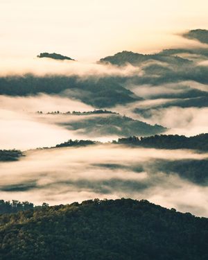 Image post by @wyethco on Instagram