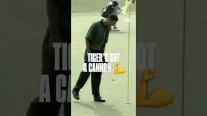 Video post by @skratchtv on YouTube