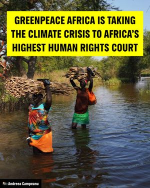 Image post by @greenpeace on Instagram
