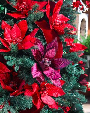 Image post by @rogersgardens on Instagram