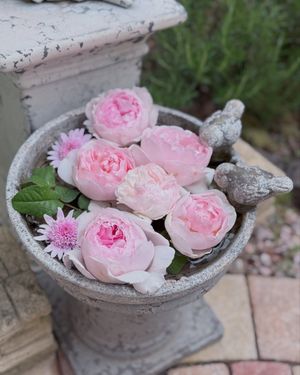 Image post by @kaho_flowerdesigner on Instagram