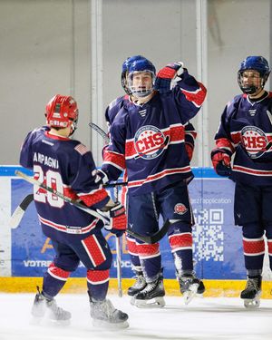 Image post by @collegehkysouth on Instagram