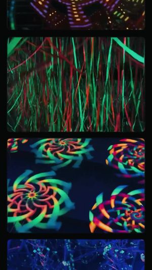 Video post by @winkworldofficial on Facebook