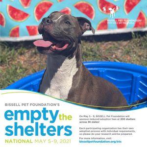 Image post by @suncoasthumane on Instagram