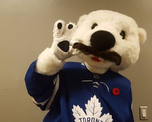 Image post by @officialcarltonthebear on Instagram