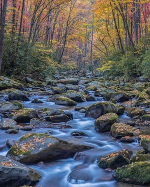 Image post by @nationalparkscollective on Instagram