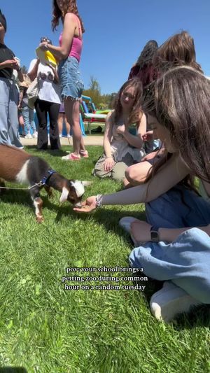 Video post by @kate.liaaa on TikTok