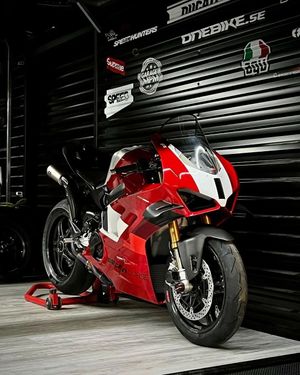 Image post by @panigalers on Instagram
