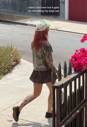 Video post by @laurenbadenhoop on TikTok