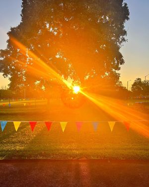 Image post by @enjeveser on Instagram