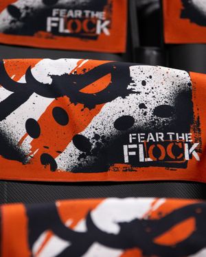 Image post by @anaheimducks on Instagram