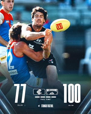 Image post by @carlton_fc on Instagram