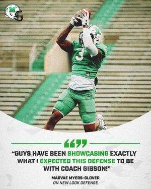 Image post by @herd_fb on Instagram