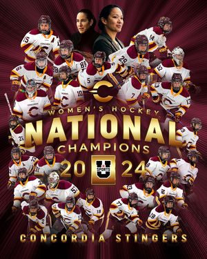 Image post by @the_stingers on Instagram