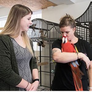 Image post by @rhodeislandcollege on Instagram