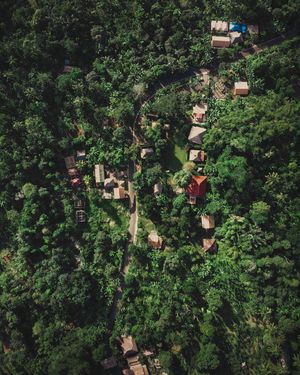 Image post by @slocated on Instagram