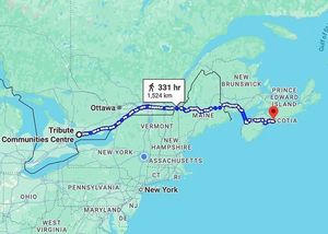 Image post by @firewolvesnll on Instagram