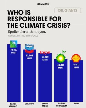 Image post by @commonsearth on Instagram
