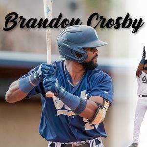 Image post by @nocoowlz on Instagram