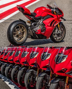 Image post by @panigalers on Instagram