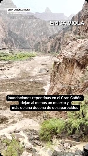 Video post by @telemundo49 on Instagram