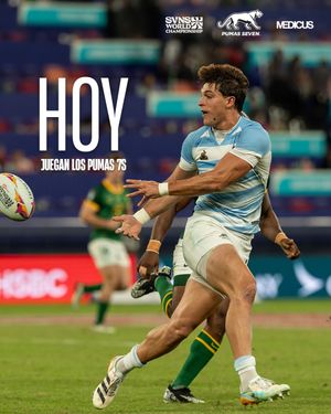 Image post by @lospumas7s on Instagram