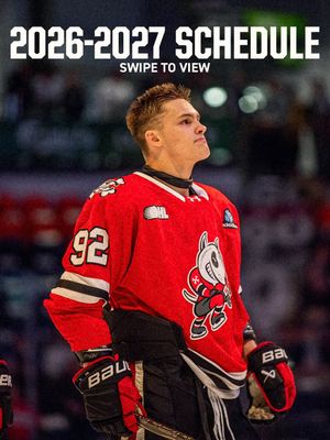 Image post by @ohlicedogs on Instagram