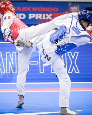 Image post by @worldtaekwondo on Instagram