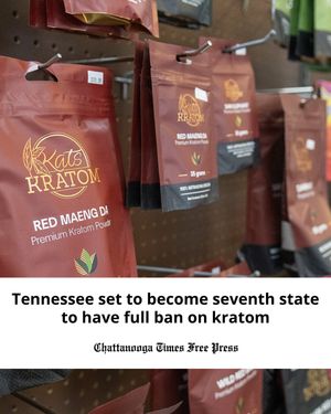 Image post by @chattanooga on Instagram
