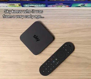 Image post by @hellosky on TikTok