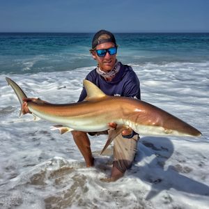 Image post by @cabosurfcaster2 on Instagram
