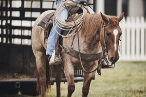 Image post by @durangoboots on Instagram